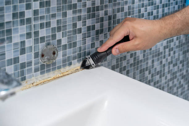 Best Preventive Mold Services in Chualar, CA