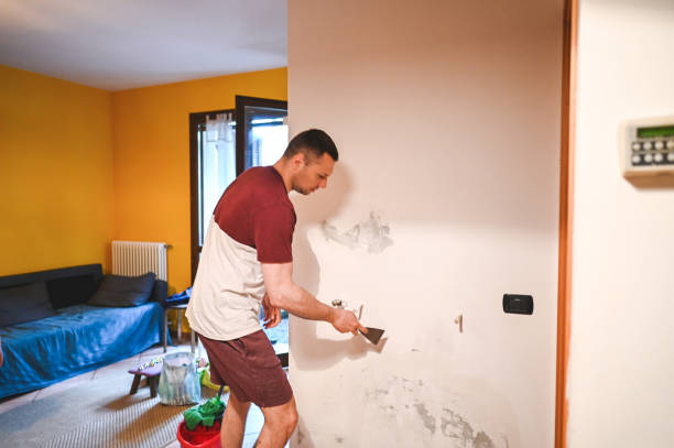 Best Attic Mold Remediation in Chualar, CA